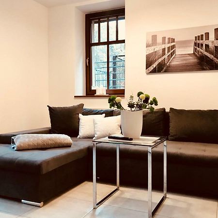 Apartamenty Aleksandry Apartament Przy Parku シフィノウイシチェ エクステリア 写真